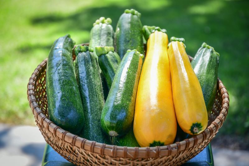 fresh green and yellow summer squash in a basket